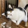 振り向けば側にいる❗️初心者に最適❤️ペコ サムネイル2