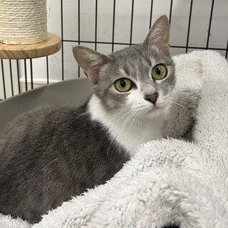 素敵な家族ができました♡エメちゃん
