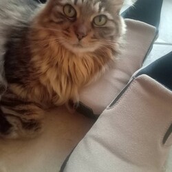 ワクチン接種