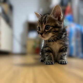 ご家族決まりました。
