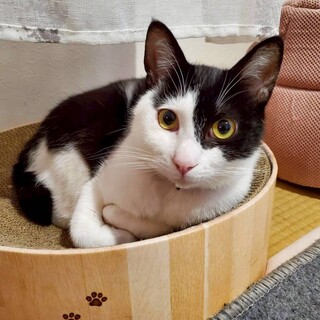 甘えん坊でスリスリ上手！★イゴくん