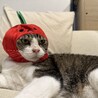 帽子まんざらでもないおばあちゃん