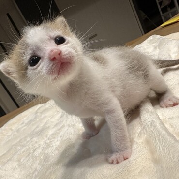 すくすく育ったよー