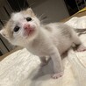 すくすく育ったよー