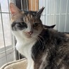 超美人¨̮♡こまちちゃん サムネイル3