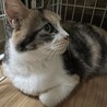 超美人¨̮♡こまちちゃん サムネイル2