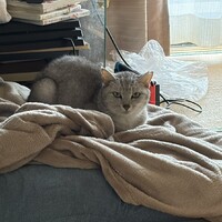ちゅら