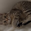 素敵なご家族が迎え入れてくれました。