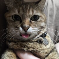 テミ