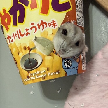 がじりすぎて顔が出てきた∑(ﾟДﾟ)