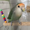 ご応募ありがとうございました。