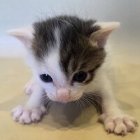 みも