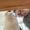 京田辺Animal Fri...（保護活動者）
