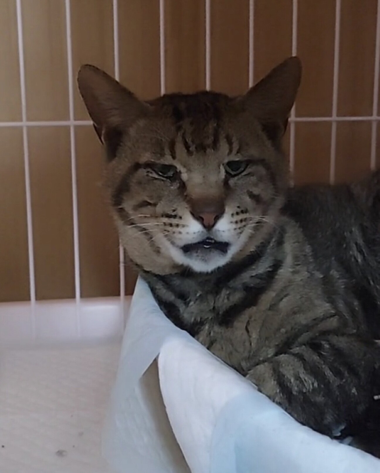 ジャンプ