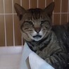 ジャンプ