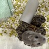 育児疲れで子供達から逃げるママ（タ、タスケテ…
