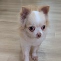 今は引きこもりな甘えん坊♡ハモちゃん
