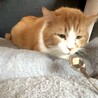 もんくん、シャー顔が何故かカワイイ！ サムネイル4