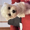 甘える好きな1歳男の子 サムネイル2