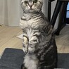 家族になってね