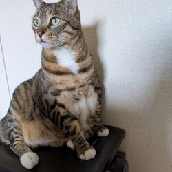 「遊びたい！」サムネイル3