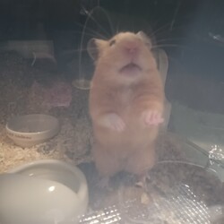 「ありがとう」サムネイル2