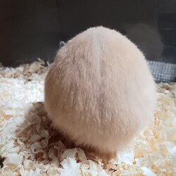 「ありがとう」サムネイル3