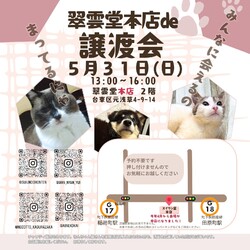 翠雲堂本店de譲渡会