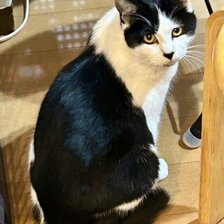 【エリぞー♂】温厚で甘えん坊♥