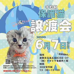 保護猫譲渡会（予約制）