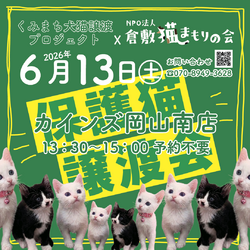 保護猫譲渡会（予約不要）