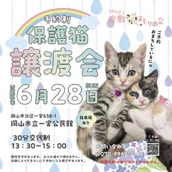 保護猫譲渡会（予約制） 