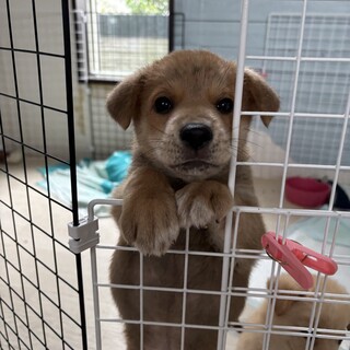 山で生まれたかわいこちゃん