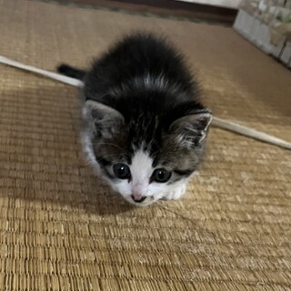甘えん坊な男の子