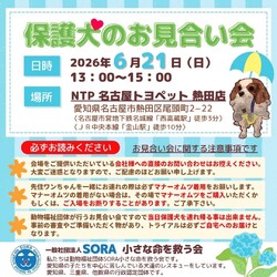 NTP 名古屋トヨペット熱田店様お見合い会