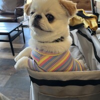 むさし
