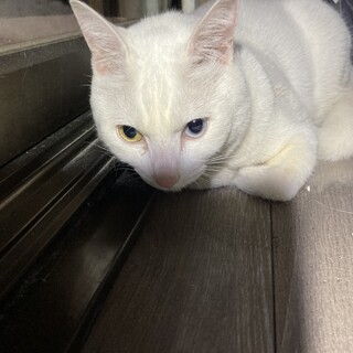 検討中