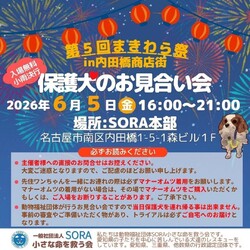内田橋まつりお見合い会 サムネイル1