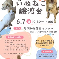いぬねこ譲渡会