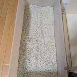 「おなすのおトイレ事情」サムネイル2