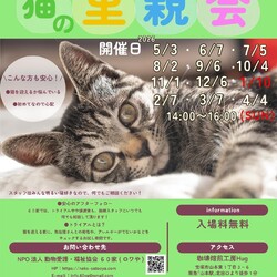 宝塚市保護猫の里親会