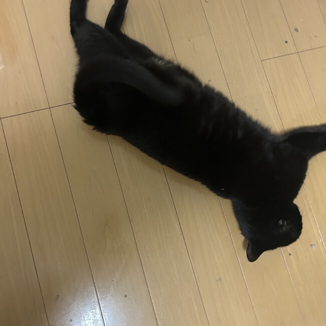 A___Nのカバー写真