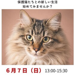 猫の譲渡会