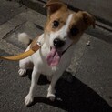引き取って下さい。