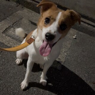 引き取って下さい。