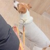 引き取って下さい。 サムネイル2