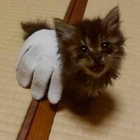 シンバ