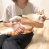 大きな身体に小さな心、甘えん坊★チロちゃん サムネイル4