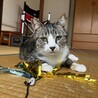 人が大好き、なでられるの大好き！ サムネイル3