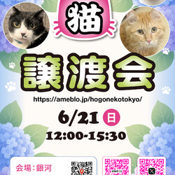 ほごねこ東京譲渡会＠駒込　駒込駅徒歩7分